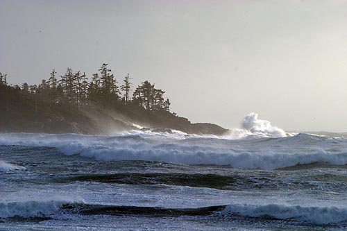 Storm Watching in Tofino